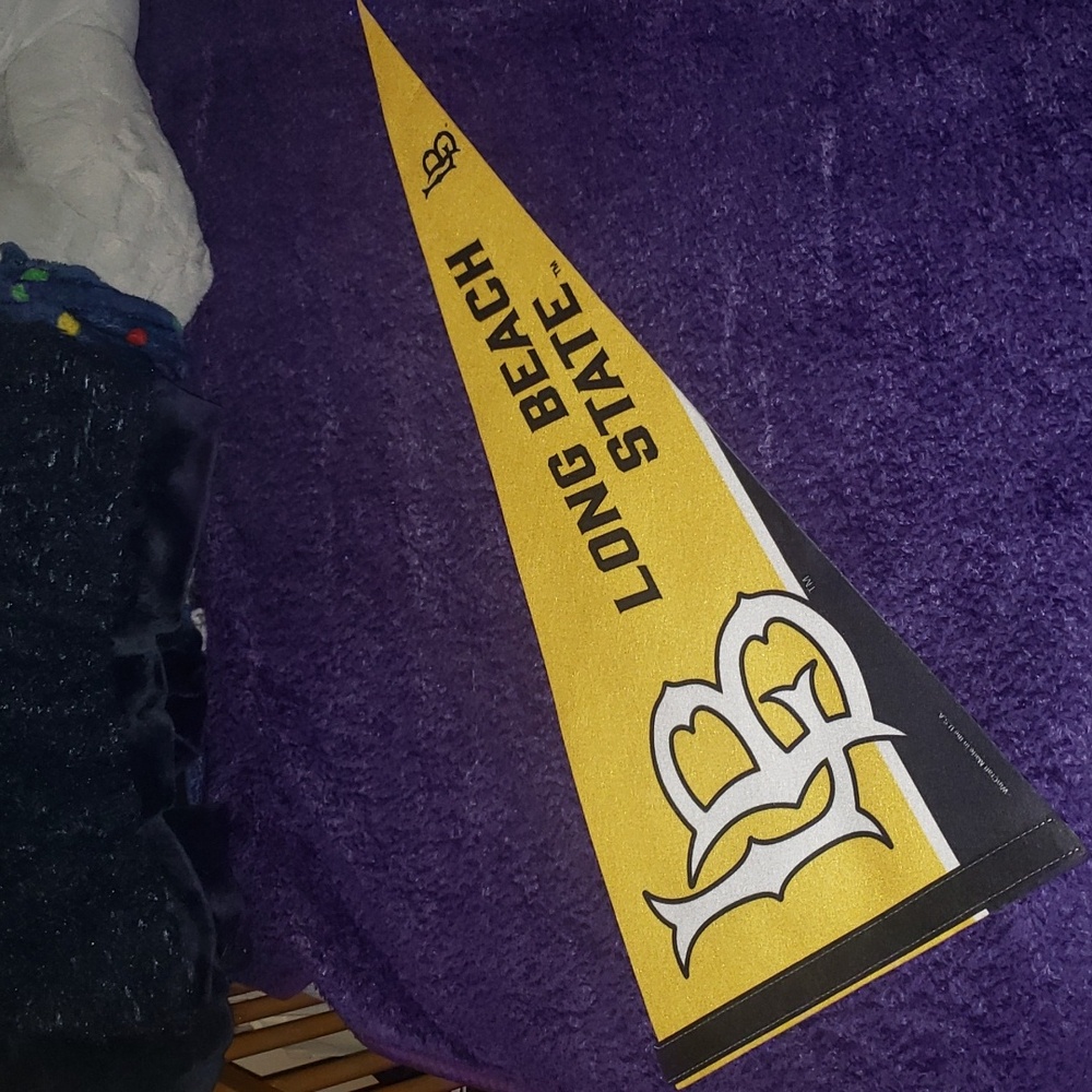 6 College Pennant Flags